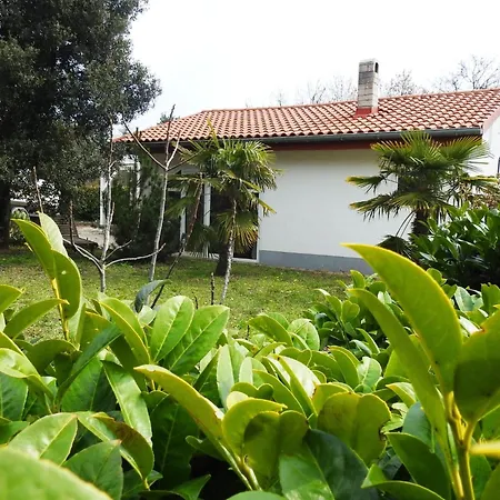 Gemuetliches In Mit Grosser Te By Interhome Hébergement de vacances *