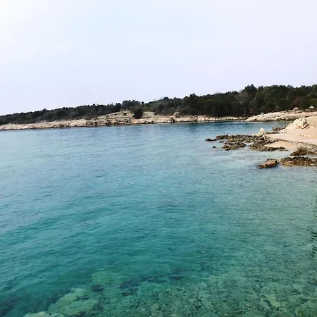 Hébergement de vacances Gemuetliches In Mit Grosser Te By Interhome Pinezići